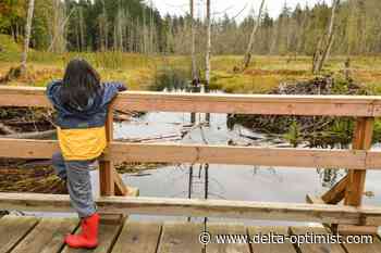 New book lists best Lower Mainland hikes for kids - Delta Optimist
