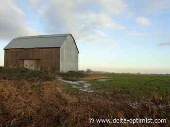 City of Delta asked to accept Metro Vancouver long-term plan - Delta Optimist