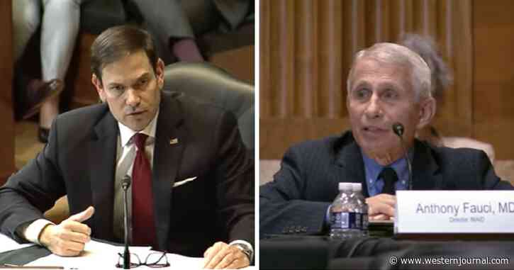 Rubio Grills Dr. Fauci: How Is It Americans with COVID Can't Get in Country, But Illegals Can?