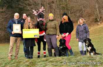 Akademie Wintereck: Zahnarzt unterstützt ein Pferd am Schlagerboden - meinbezirk.at