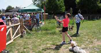 Hondenlosloopweide is nu ook officieel open - Het Laatste Nieuws