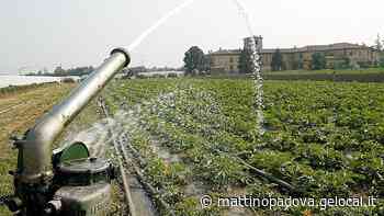 Siccità. In Veneto si trattiene meno del 5 per cento dell'acqua piovana - Il Mattino di Padova