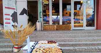 La Latteria Sociale di Marsure compie cento anni - Il Friuli