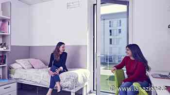 Alloggi pubblici per studenti Oltre cento ai Lupi di Toscana - LA NAZIONE