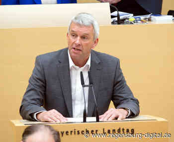 AfD-Abgeordneter Stadler klagt wegen „Waffenschein“ » Regensburg Digital - regensburg-digital.de