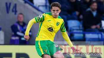 Norwich City: Canaries winger being considered by Ireland - PinkUn