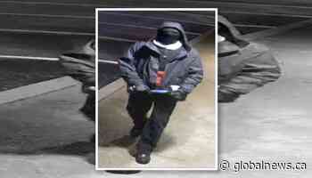 Hamilton police looking for break and enter suspect