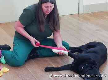 Fears cost-of-living crisis will see Oldham pet owners abandon animals - The Oldham Times