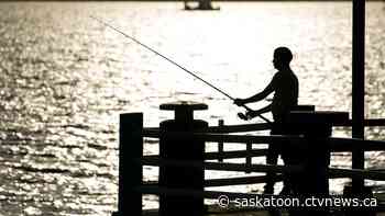 University of Sask. study finds no mercury damage from high fish diet