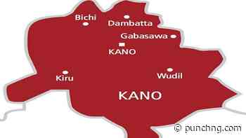 Correctional service arrests officer in Kano over accidental discharge - Punch Newspapers