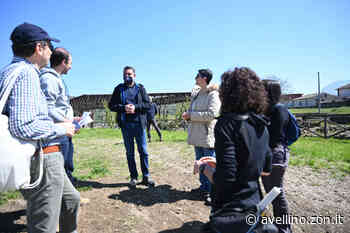 Atripalda, studenti a lezione di archeologia all'antica Abellinum - avellino.zon.it