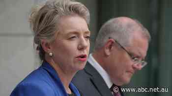 Telcos frustrated the Coalition is using private-sector millions to promote infrastructure projects