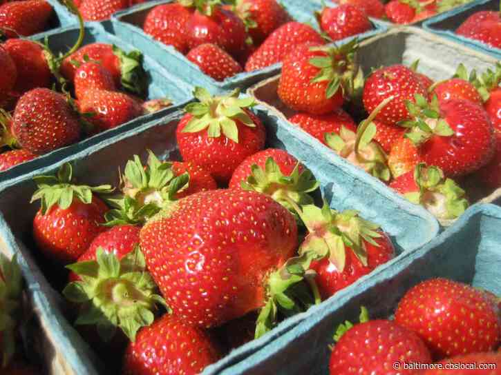 B&O Farmers Market Returns For Third Year