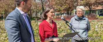 Élections provinciales: une bataille d’environnementalistes dans Taschereau