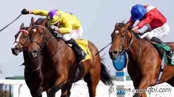 Ayr report: My Astra's 12-length romp startles Haggas - Racing TV