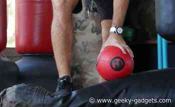 OODA Ball free weight punching bag