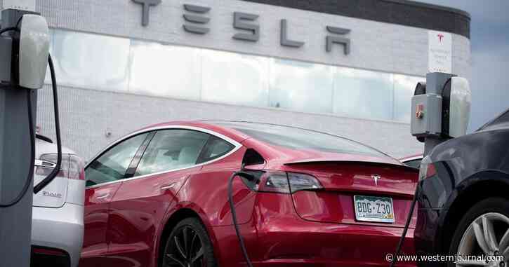 One Overlooked Detail in Government's Electric Vehicle Scheme Could Have Seismic Effect on Our Environment