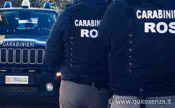 Rinascita Scott, scattano 11 arresti dopo le condanne in primo grado - Quotidiano online