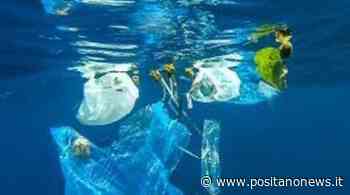 Ambiente. A Sorrento parte il progetto “Una rete da pesca per la filiera dei rifiuti marini” - Positanonews - Positanonews