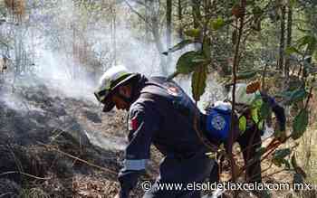 Merma fuego 170 hectáreas forestales de Calpulalpan - El Sol de Tlaxcala