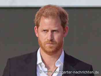 Attacken im Internet: Prinz Harry will seine Kinder vor Hass und Schaden schützen - Stuttgarter Nachrichten