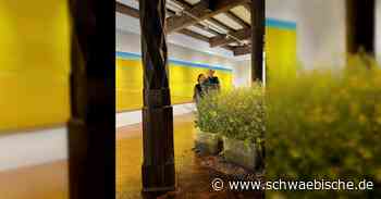 Auf einen Kaffee mit Alfred Bradler im Kunstverein Ulm - Schwäbische