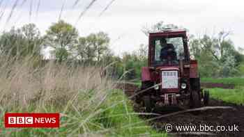 Ukraine invasion could cause global food crisis, UN warns