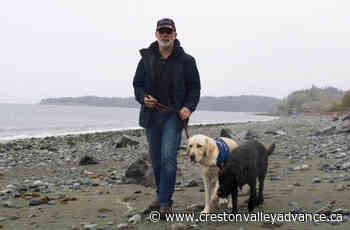 BC couple concerned about pooches consuming pot after dog's scary situation – Creston Valley Advance - Creston Valley Advance