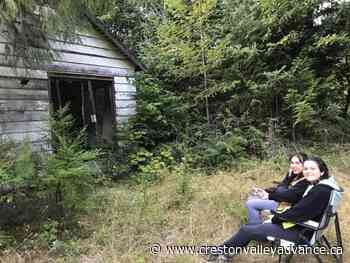 Take part in the annual Kootenay Bat Count - Creston Valley Advance