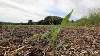 Starkregen im Kreis Neuwied: RZ spricht mit Experten für Wetter, Forst, Feuerwehr und Landwirtschaft - Rhein-Zeitung