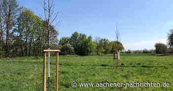 100. Jubiläum: Der Rurperle-Forst nimmt Gestalt an - Aachener Nachrichten