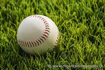 Olds Minor baseball back to hosting tournaments - Mountain View TODAY
