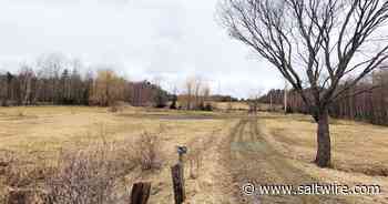 Gordonstoun Nova Scotia still planned for Pictou County despite land deal not going through, says developer - Saltwire
