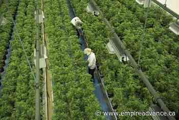 Pot company Canopy Growth shares plan to acquire California's Jetty Extracts - Virden Empire Advance