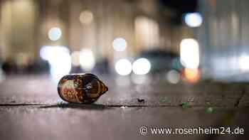 Betrunkener (43) wirft Freund Bierflasche an den Kopf – und wird auf Radl von Polizei gestoppt