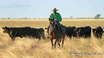 AACo's beef boom sees 'strongest net profit result since listing on the ASX'