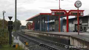 Kreis Pinneberg in Kürze: Sammelklage gegen S 21 +++ Hanf in Schenefeld +++ Endlos-Diskussion um Bücherei | shz.de - shz.de