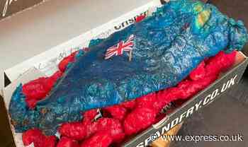 'You don't normally see it!’ Brits startled by blue and red Platinum Jubilee fish n chips