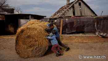 Führt der Ukraine-Krieg zu einer «Hunger-Pandemie»?