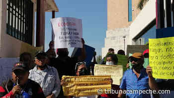 Contamina granja porcícola en Izamal; demandan cierre - Tribuna Campeche