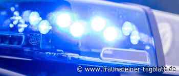 Körperliche Auseinandersetzung an der Traun – Zwei Hundehalter geraten aneinander - Traunsteiner Tagblatt