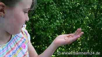 „Kommt die Schnecke etwa mit Haus zur Welt?“ – Ein Biologe beantwortet die Fragen der achtjährigen Viktoria