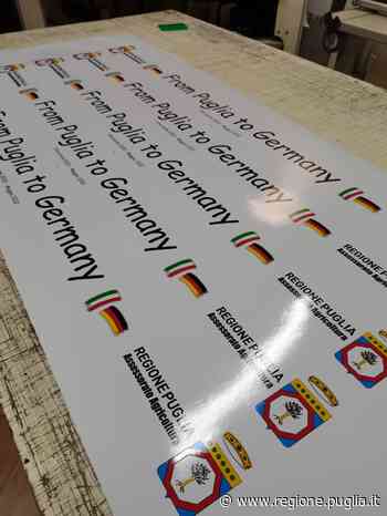 Il Primitivo di Manduria in un tour internazionale su auto d'epoca: il 21 maggio la conf stampa di presentazione dell'evento - PRESS REGIONE - Regione Puglia