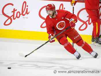 Calgary Flames centre Elias Lindholm shortlisted for Selke Trophy - Simcoe Reformer