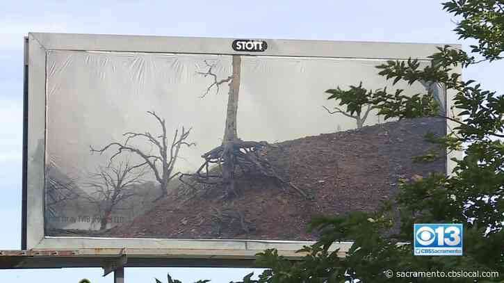‘We’re Really Facing A Catastrophe’: Bay Area Artist’s Billboards In Oroville Blast California’s Struggles