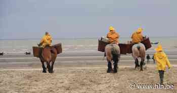 Na garnalenrel met Oostende stunt Koksijde: “We geven een jaar lang Koksijdse garnaalkroketten weg” - Het Laatste Nieuws
