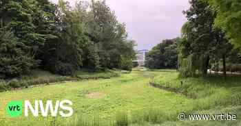 Stad Antwerpen gaat water aanvoeren om droogte in de vijver van het Stadspark op te lossen - VRT NWS