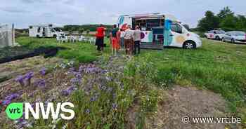 Week van de Korte Keten: provincie Antwerpen wil weten wie de kopers zijn, en wanneer, waar en wat ze kopen in hun buurt - VRT NWS