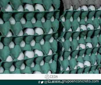 Por decreto 21 productos básicos quedan libres de arancel - Grupo En Concreto