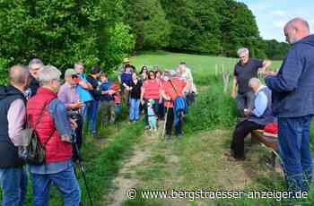 Der Kirchenpfad von Reichenbach nach Knoden ist eingeweiht - Lautertal - Nachrichten und Informationen - Bergsträßer Anzeiger